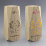 Trophée en Bois Laser et Couleur