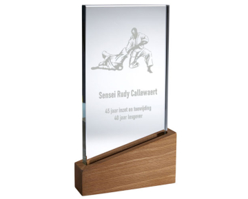 Troph&eacute;e en boisrectangulaire 2