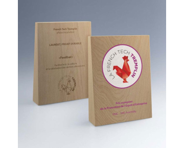 Trophée en bois Trapèze