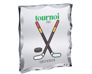 Troph&eacute;e couleur plaque plexiglass