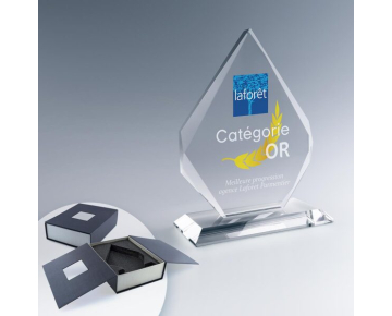 Troph&eacute;e en verrediamant&nbsp;