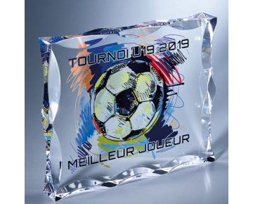 Trophée couleur plaque plexiglass