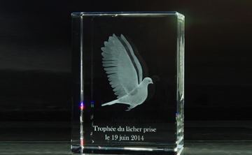 Trophée en verre 3D