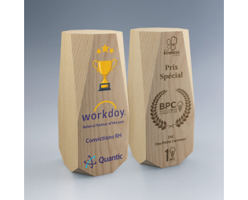 Trophée en bois Facetté