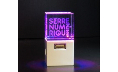 Création de logo société gravé sur verre pour la Serre Numérique image 2